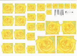 knipvellen/marjoleine zweed/gele_rozen.jpg